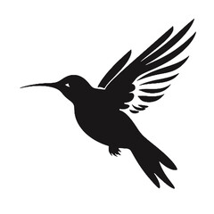 hummingbird Silhouette 