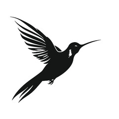 Obraz premium hummingbird Silhouette 