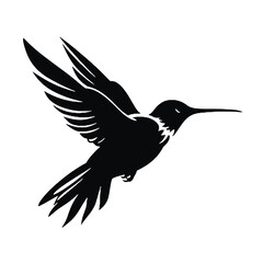 hummingbird Silhouette 