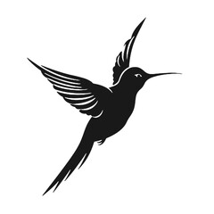 hummingbird Silhouette 