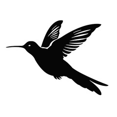 hummingbird Silhouette 