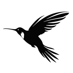 Fototapeta premium hummingbird Silhouette 