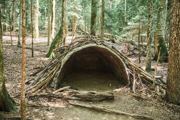 Fototapety na wymiar - Fototapeta24.pl