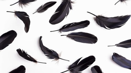 A collection of black feathers scattered across a white background. Concept of freedom and movement, as the feathers appear to be floating in the air - obrazy, fototapety, plakaty