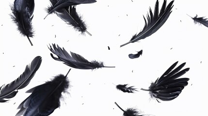 A flock of black birds flying in the air, with their feathers scattered all over the white background. Concept of freedom and movement, as the birds soar through the sky