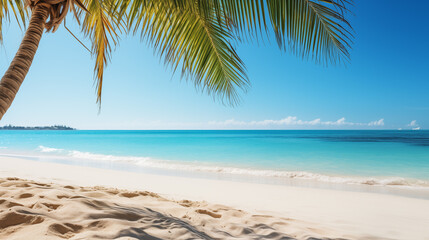 Obraz premium Tropical beach. Summer vacation on a tropical island with beautiful beach and palm trees. Tropical Maldives.