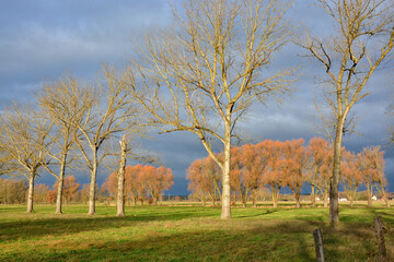 Sonnendurchflutete Landschaft