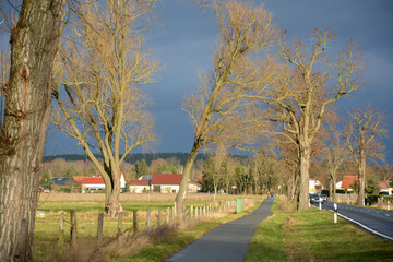 Landschaft mit Strasse