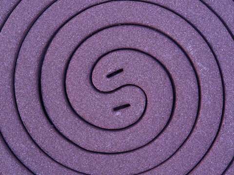 Mosquito coil close-up