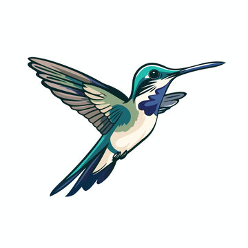 Hummingbird logo. Isolated hummingbird on white 