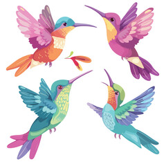 Obraz na płótnie Canvas Hummingbirds vector illustration cartoon vector 