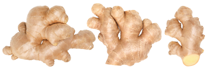 Close-up, Fresh ginger rhizome isolated, transparent PNG, PNG format, cut out