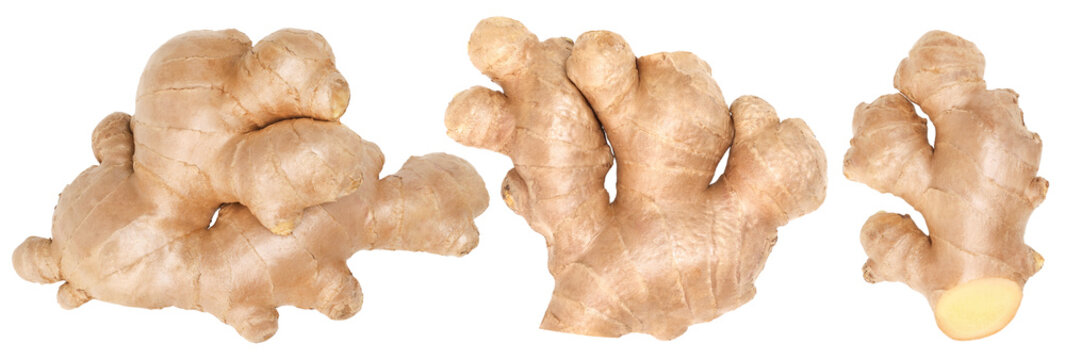 Close-up, Fresh ginger rhizome isolated, transparent PNG, PNG format, cut out