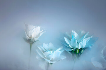  flowers in the background of white fog, colorful flowers soft background art paintings