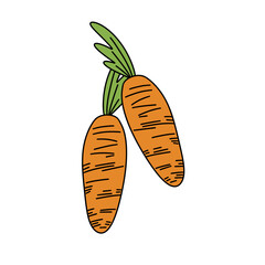 Two carrots are drawn with green leaves on top. The carrots are orange and have a slightly curved shape