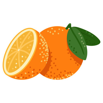 Fresh orange fruit vector cartoon illustration isolated on a white background.