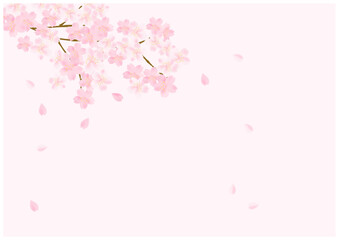 桜の花が美しい春の桜フレーム背景45桜色