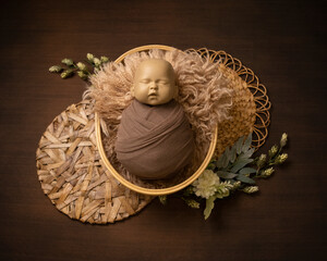 photo of doll in basket