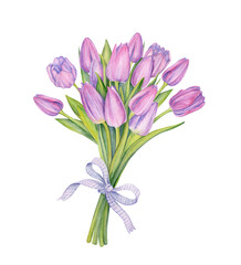 watercolor illustration, botanical art, fresh spring tulips, floral background, beautiful bouquet of wild flowersTulips flower for background mothers day,texture, wrapper pattern for cards, wedding in