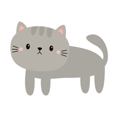 Cute gray cat kitten kitty standing. Cartoon kawaii pet baby animal character. Round face icon. Meow. Funny baby. Greeting card. Sticker print. Happy Valentines day Flat design White background Vector - 767711034