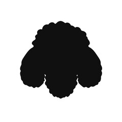 cool poodle dog wearing sunglasses