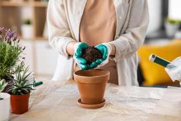 people, gardening and housework concept - close up of woman in gloves pouring soil to flower pot at home - 767713897