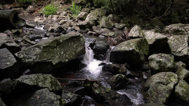 Handheld footage of Cedar Creek along the Curtis Falls Walking Track, Tamborine Mountain