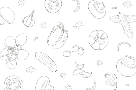 Vegetable sketch style line art background illustration