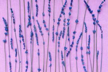 Top view of fresh and aromatic lavender on purple background