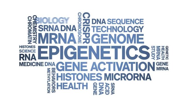 Epigenetics animated word cloud;text design animation tag kinetic typography seamless loop.