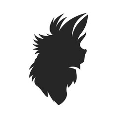 Chicken  ,  Rooster Sunglasses