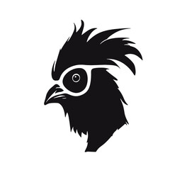 Chicken  ,  Rooster Sunglasses