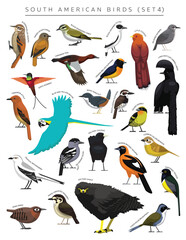 South American Birds Set Cartoon Vector Character 4