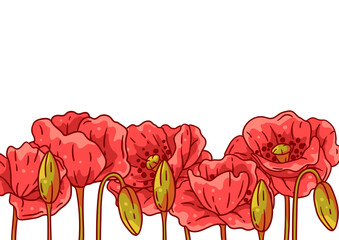 Background with poppies. Beautiful decorative plants. - 767721698