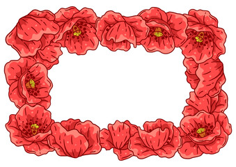 Frame with poppies flowers. Beautiful decorative plants. - 767723633