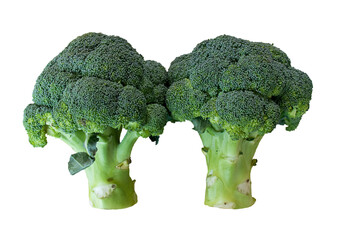 Fresh raw broccoli isolated on transparent background.