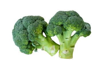 Fresh raw broccoli isolated on transparent background.