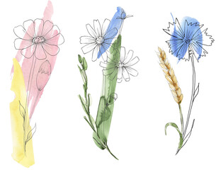 Watercolor hand painted meadow florals bouquet illustration set, liner sketch wildflowers clipart, field flowers composition - 767726296