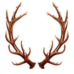 Reindeer horns. Isolated on transparent background.