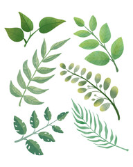 Watercolor Green Branches With Leaves Illustration