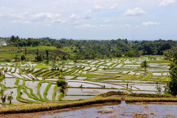 Beautiful impressions of Indonesia