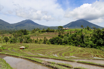 Beautiful impressions of Indonesia