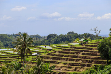 Beautiful impressions of Indonesia