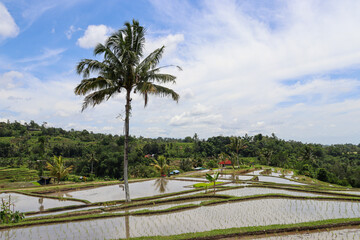 Beautiful impressions of Indonesia