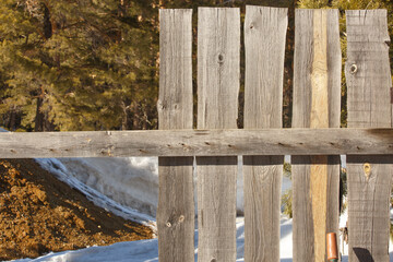 Old wood fence against the background of the forest