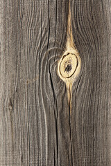 Natural wood texture with relief