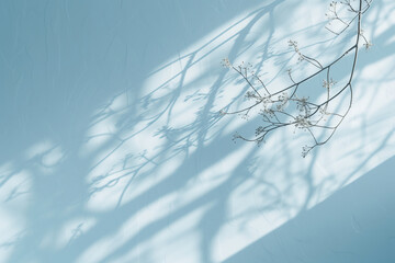 shadow and silhouette effect of a branch on a white wall, sunlight reflection on a bright surface (5)