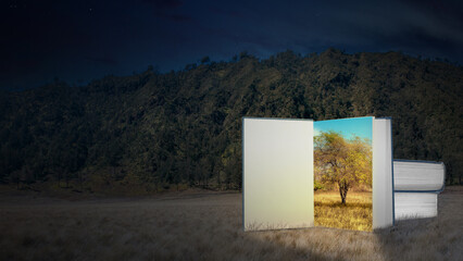 World book days concept, an open book with clear picture  on a book and beautiful night landscape view as background.