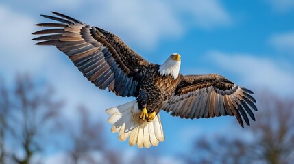 A majestic bald eagle soars through a cloudless blue sky  its wings outstretched in a symbol of power and freedom.