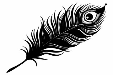 peacock-feather-black-silhouette-vector-white-background.